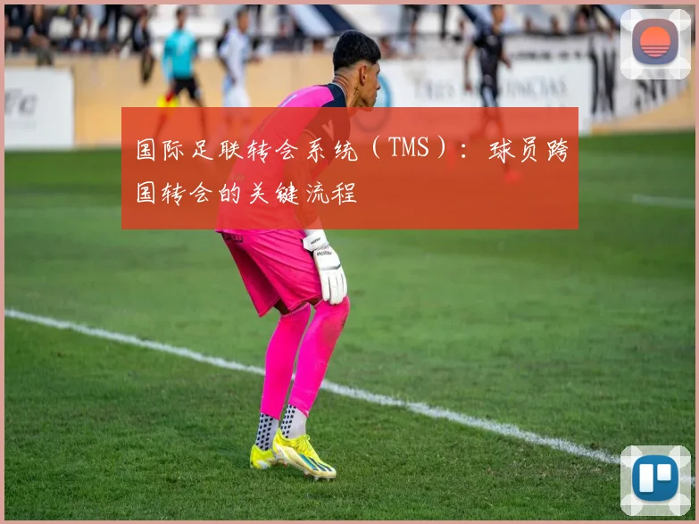 国际足联转会系统（TMS）：球员跨国转会的关键流程